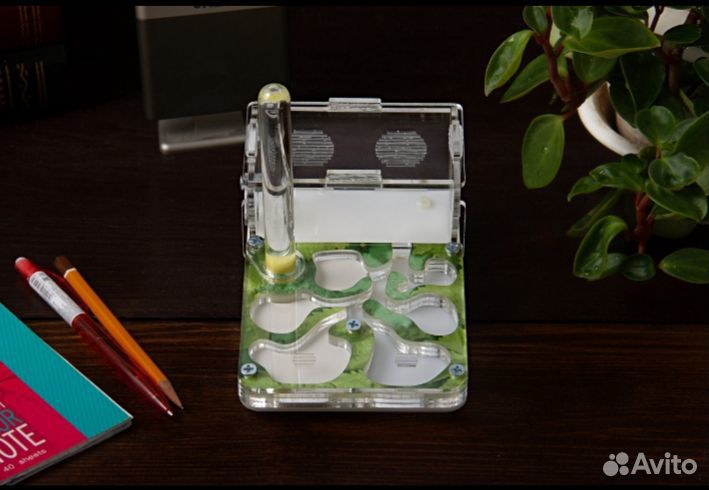 Муравьиная ферма акрилово-гипсовая