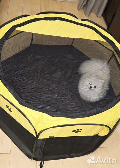 Манеж для собак б/у