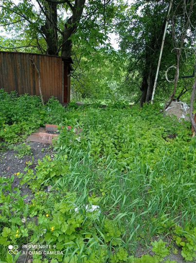 Дом 42,8 м² на участке 6 сот.