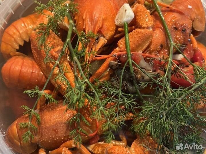 Живые и варенные раки