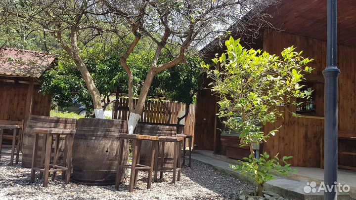 Отдых в Гаграх