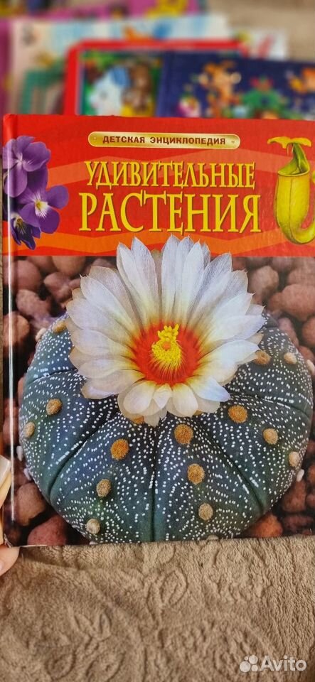 Книга о Удивительных Растениях