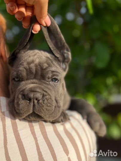 Открыт для вязок