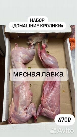 Мясо кролика