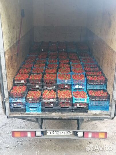 Грузоперевозки/Перевозка/Газель/грузчики ставропол