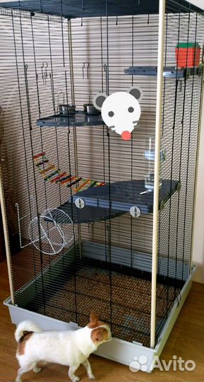 Клетка (вольер)