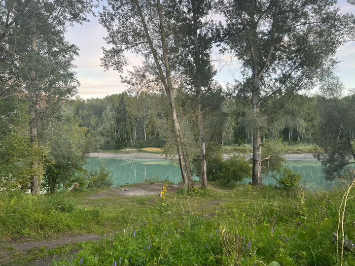 Участок 20 сот. (СНТ, ДНП)