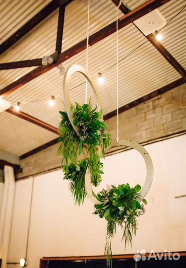 Ампельное озеленение декоративными растениями