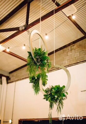 Ампельное озеленение декоративными растениями