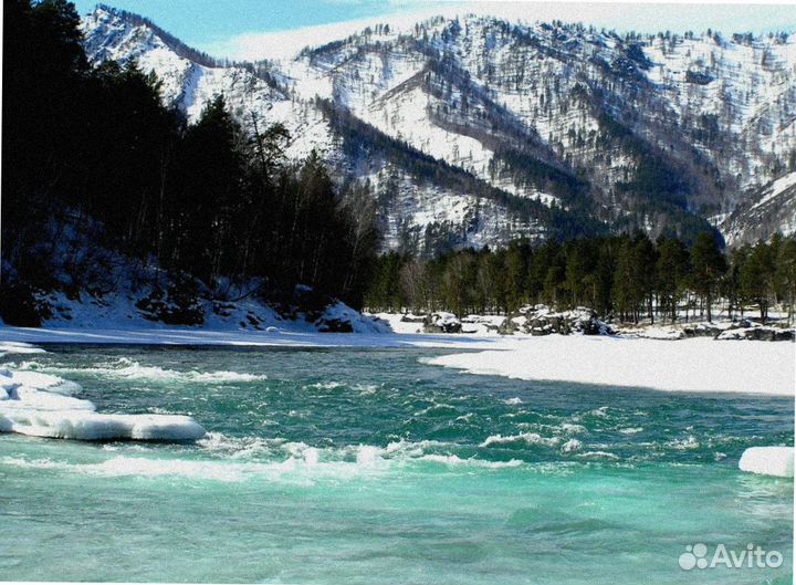 Путевка на Алтай зимой экспедиция 4-7 дней