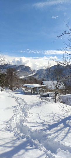 Участок 6 сот. (СНТ, ДНП)