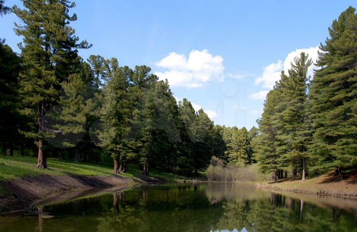 Дом 75 м² на участке 18 сот.