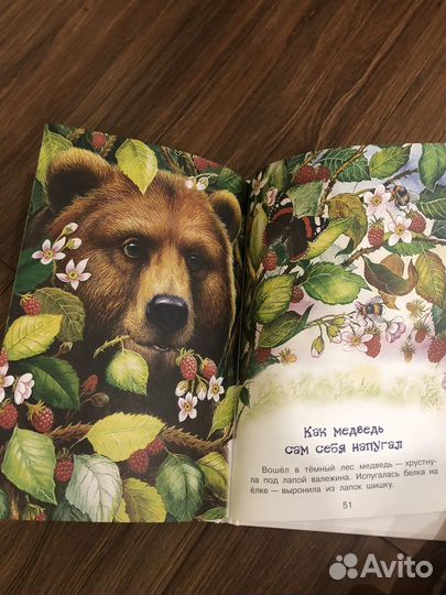 Книга для детей Н.Сладков Лесные сказки