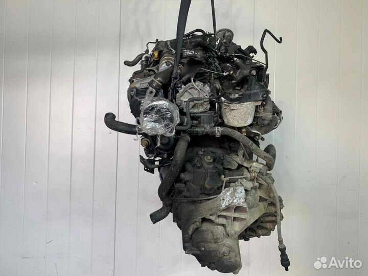 Двигатель Ford Focus 1.6d ngda