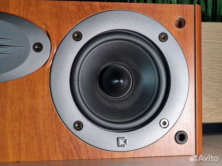 Колонка celestion f35c