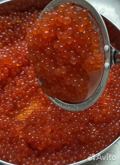 Красная икра 1 кг