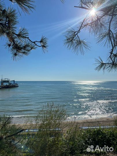 Отдых на черном море