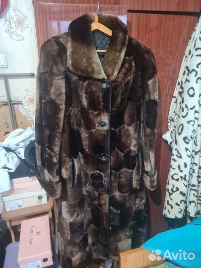 Женская одежда, мужская одежда