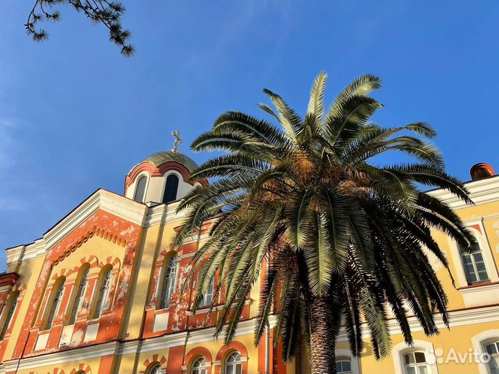 Тур в солнечную Абхазию