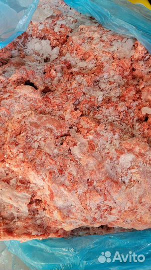 Корм для животных