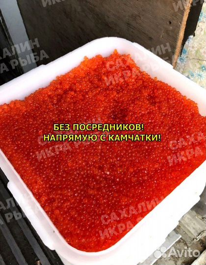 Красная икра