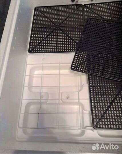 Инкубатор для яиц автоматический