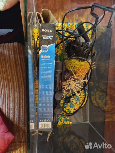 Аквариум с необходимым