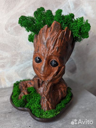 Кашпо со мхом