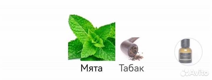 2# nota di viaggio Meo Fusciuni 100 мл