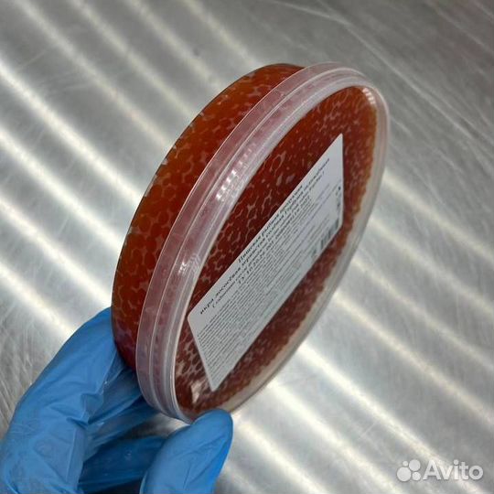 Фасованная красная икра Горбуши, путина 2023 г