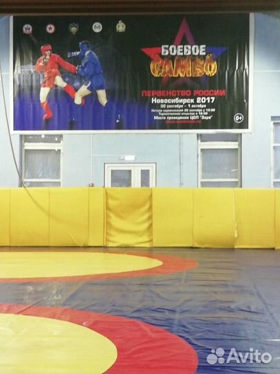 Ушу, кунг-фу, тайцзи, каратэ-до