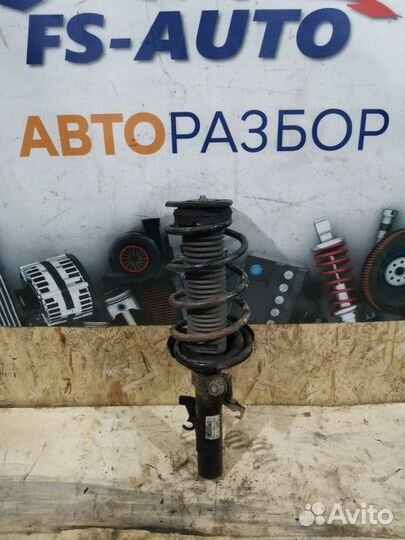 Амортизатор подвески передний правый Ford Focus 2