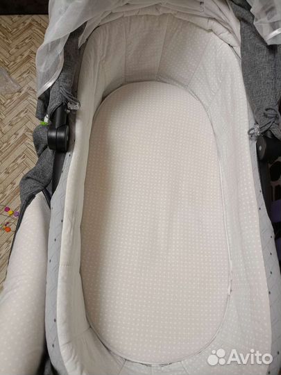 Коляска 2 в 1 adamex