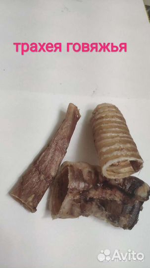 Корм для собак