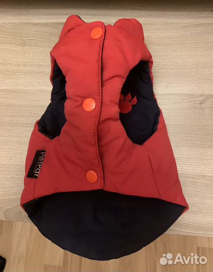 Одежда для маленькой собачки