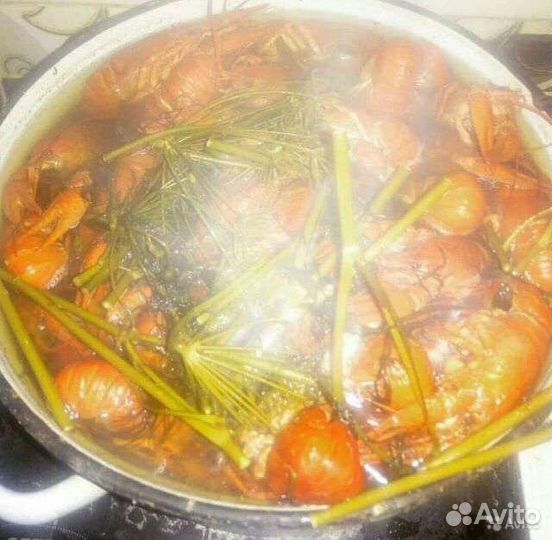Калмыцкие живые и свежесваренные раки