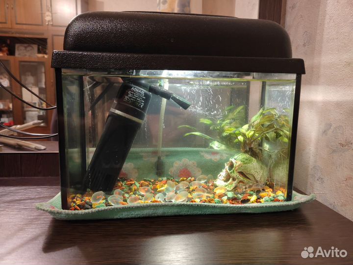 Аквариум 10л