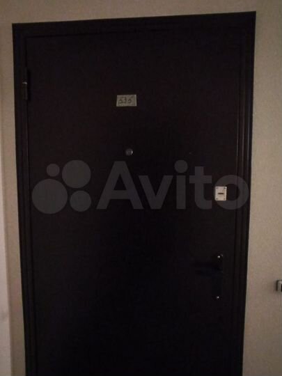 1-к. квартира, 24,4 м², 8/10 эт.