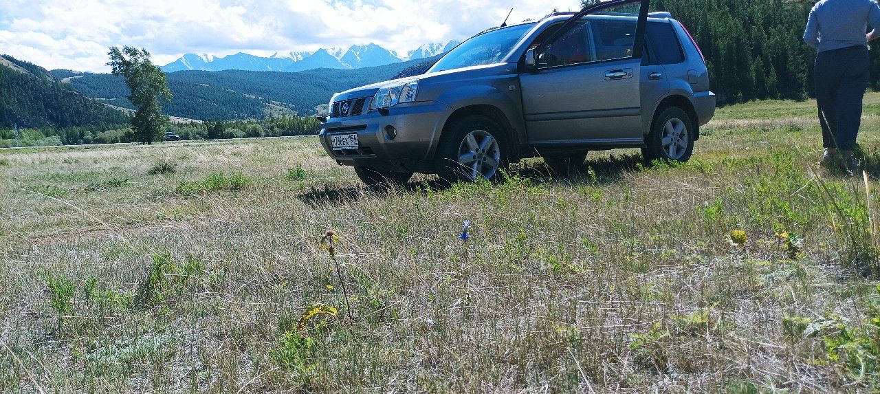 Nissan X-Trail: фото владельца