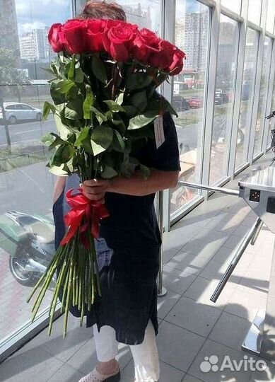 Розы гиганты 140 150 160 170 180 200