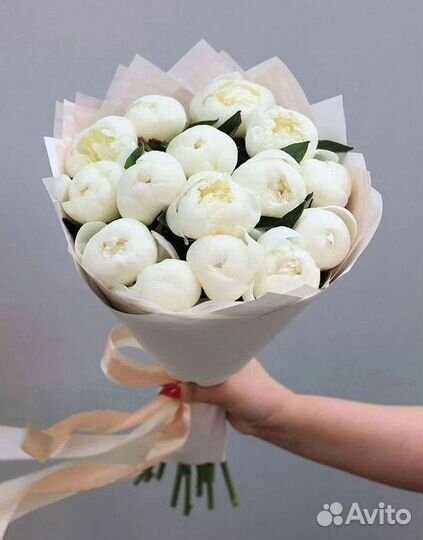 Пионы Букет пионов