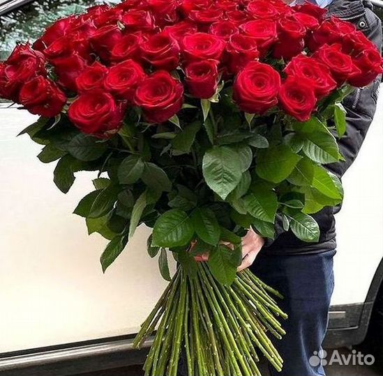 Розы Высокие 150см 160см 170см 180см 190см 2м