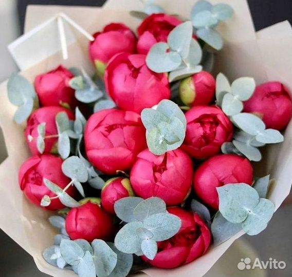 Пионы Букет