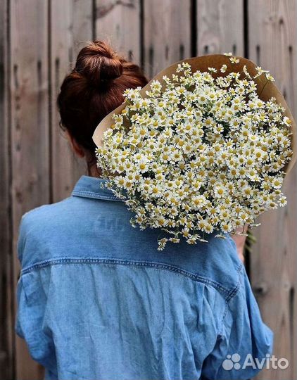 Букеты ромашек