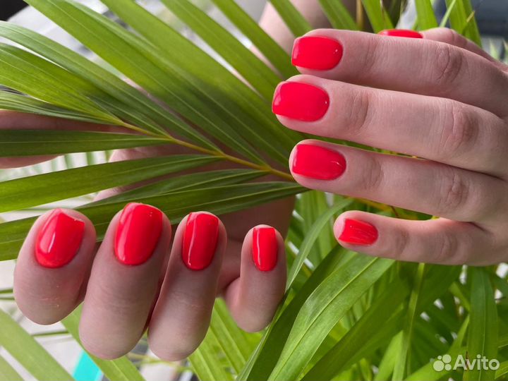 Маникюр ЖК Озерки