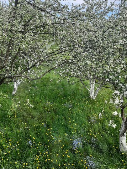 Дом 66,8 м² на участке 15 сот.