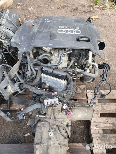 Двигатель Audi A6 C6 04-09г 2,0 TDI BLB