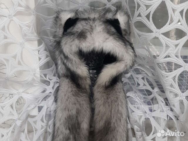 Волкошапка