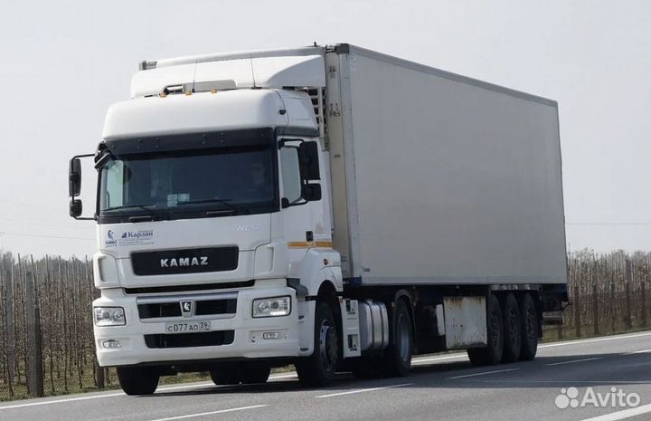 Транспортспортный бизнес