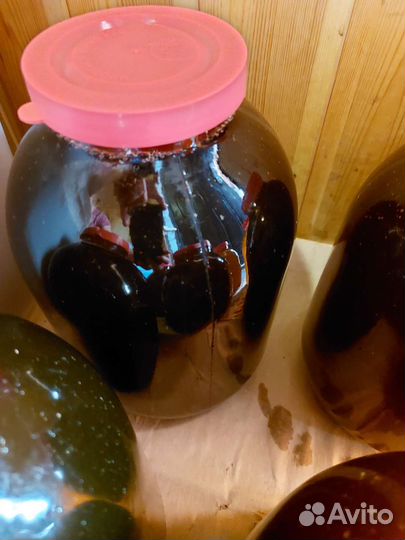 Мёд гречишный 2023